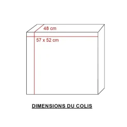 Made in Meubles Chaise<Chaise en polyester marron Nino (lot de 2)