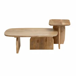 Made in Meubles Table Basse<Set de 2 tables basses en bois de manguier Tom