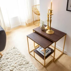 Made in Meubles Table Console<Set de deux consoles en bois de manguier et métal Léon