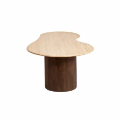 Made in Meubles Table Basse<Table basse en bois de manguier et en travertin Carola